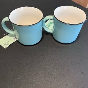 The Spring Shop Light Blue Mugs - Set of 2